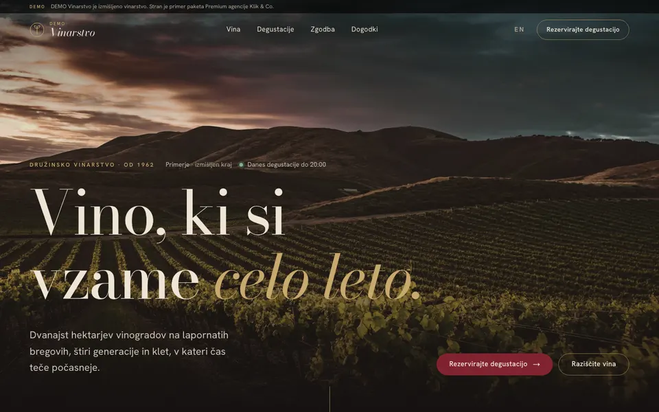 Prva stran demo vinarstva: vinograd ob sončnem zahodu in naslov »Vino, ki si vzame celo leto.«